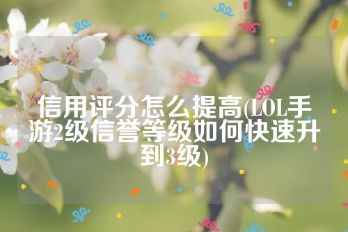 信用评分怎么提高(LOL手游2级信誉等级如何快速升到3级)