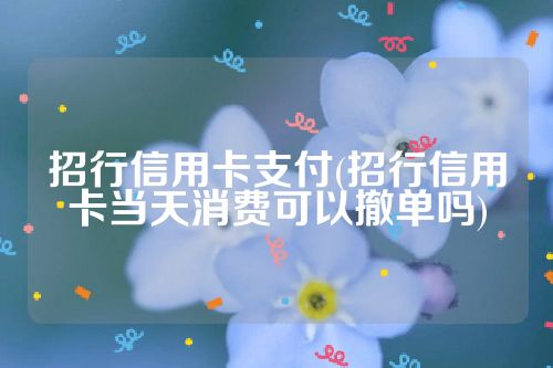 招行信用卡支付(招行信用卡当天消费可以撤单吗)