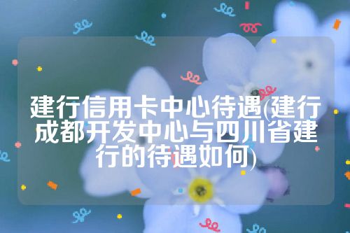 建行信用卡中心待遇(建行成都开发中心与四川省建行的待遇如何)