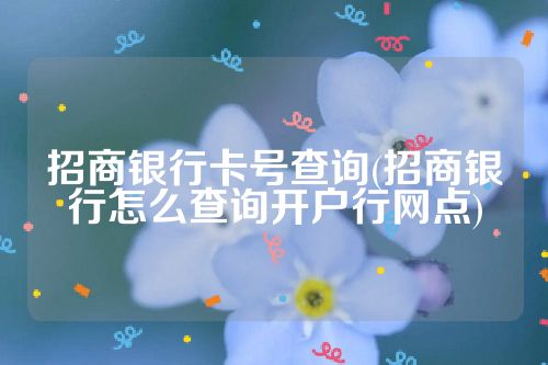 招商银行卡号查询(招商银行怎么查询开户行网点)