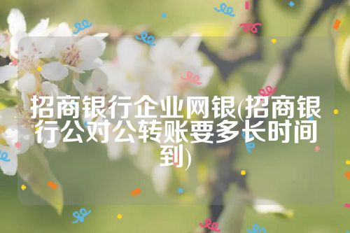 招商银行企业网银(招商银行公对公转账要多长时间到)