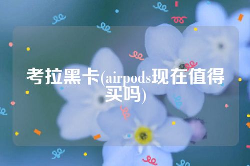 考拉黑卡(airpods现在值得买吗)