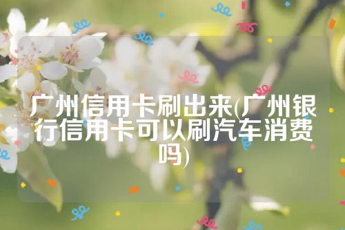 广州信用卡刷出来(广州银行信用卡可以刷汽车消费吗)