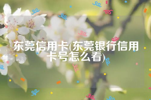 东莞信用卡(东莞银行信用卡号怎么看)