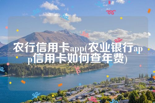 农行信用卡app(农业银行app信用卡如何查年费)