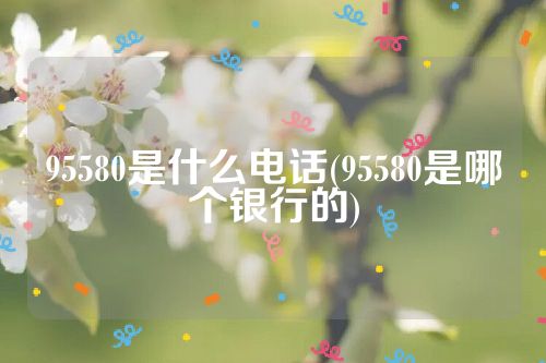 95580是什么电话(95580是哪个银行的)