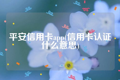 平安信用卡app(信用卡认证什么意思)