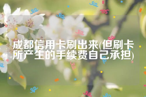 成都信用卡刷出来(但刷卡所产生的手续费自己承担)