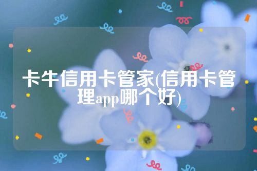 卡牛信用卡管家(信用卡管理app哪个好)