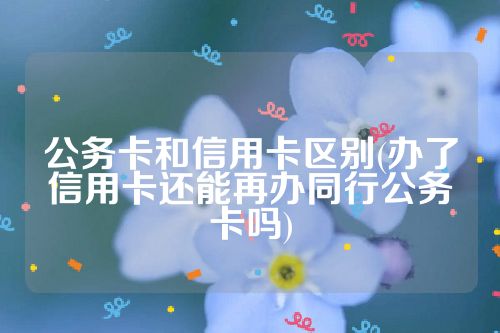 公务卡和信用卡区别(办了信用卡还能再办同行公务卡吗)