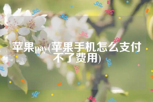 苹果pay(苹果手机怎么支付不了费用)