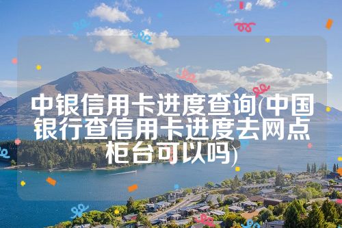 中银信用卡进度查询(中国银行查信用卡进度去网点柜台可以吗)