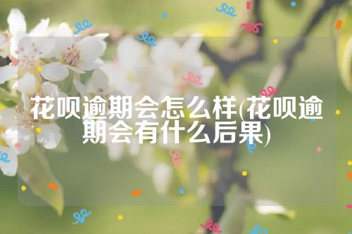 花呗逾期会怎么样(花呗逾期会有什么后果)