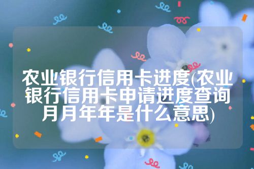 农业银行信用卡进度(农业银行信用卡申请进度查询月月年年是什么意思)