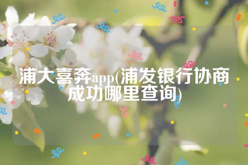 浦大喜奔app(浦发银行协商成功哪里查询)