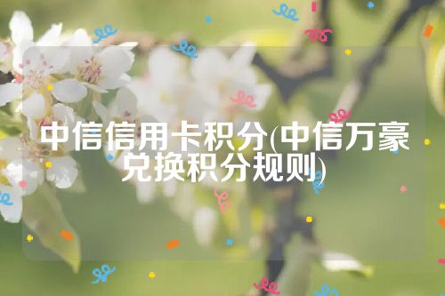 中信信用卡积分(中信万豪兑换积分规则)