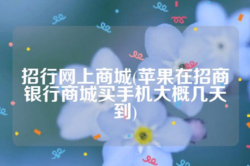 招行网上商城(苹果在招商银行商城买手机大概几天到)