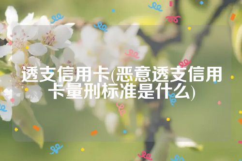 透支信用卡(恶意透支信用卡量刑标准是什么)