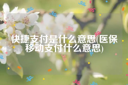 快捷支付是什么意思(医保移动支付什么意思)