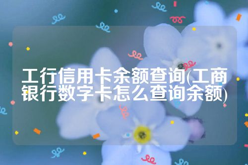 工行信用卡余额查询(工商银行数字卡怎么查询余额)