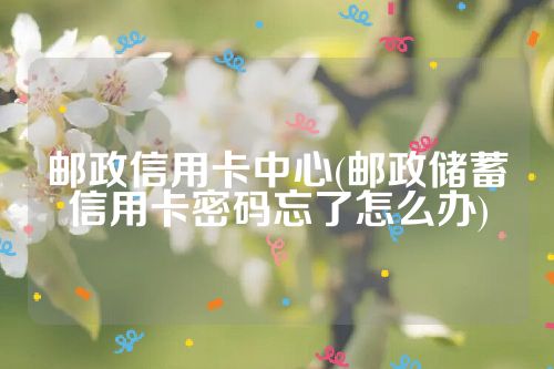 邮政信用卡中心(邮政储蓄信用卡密码忘了怎么办)