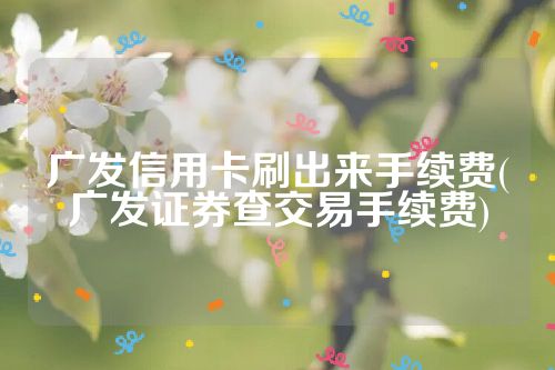 广发信用卡刷出来手续费(广发证券查交易手续费)