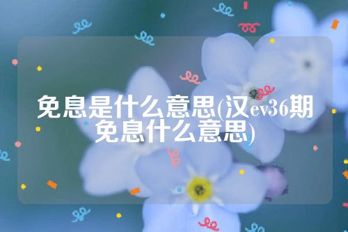 免息是什么意思(汉ev36期免息什么意思)