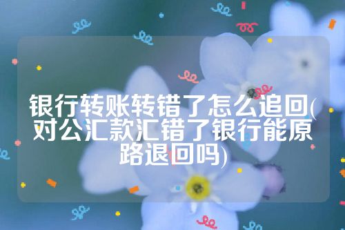 银行转账转错了怎么追回(对公汇款汇错了银行能原路退回吗)