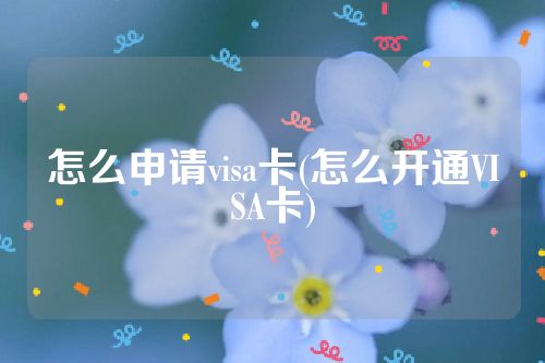 怎么申请visa卡(怎么开通VISA卡)