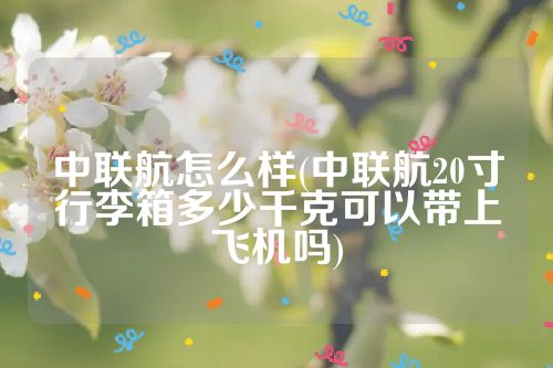 中联航怎么样(中联航20寸行李箱多少千克可以带上飞机吗)