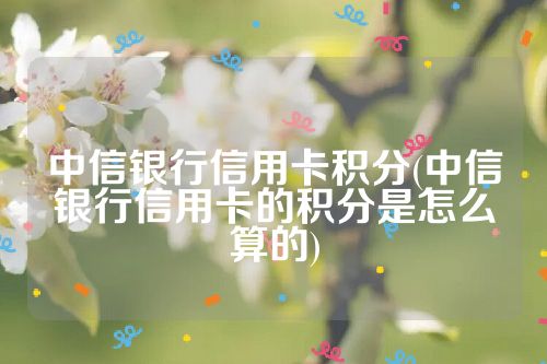 中信银行信用卡积分(中信银行信用卡的积分是怎么算的)