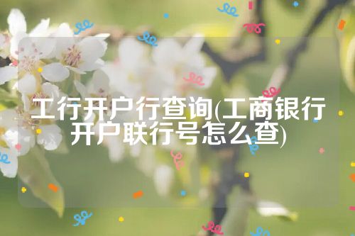 工行开户行查询(工商银行开户联行号怎么查)