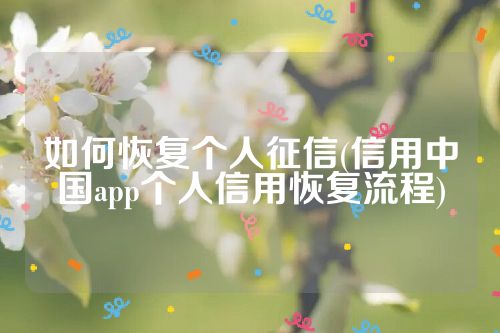 如何恢复个人征信(信用中国app个人信用恢复流程)