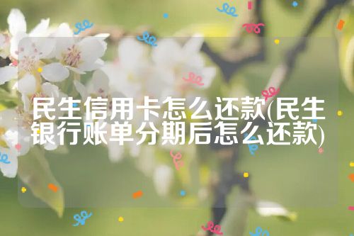 民生信用卡怎么还款(民生银行账单分期后怎么还款)